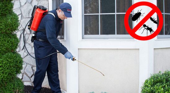 Ardahan Akrep İlaçlama böcek ilaçlama ve haşere kontrolü — ilaclama-tr.com